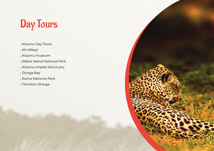 Tour Day Tours